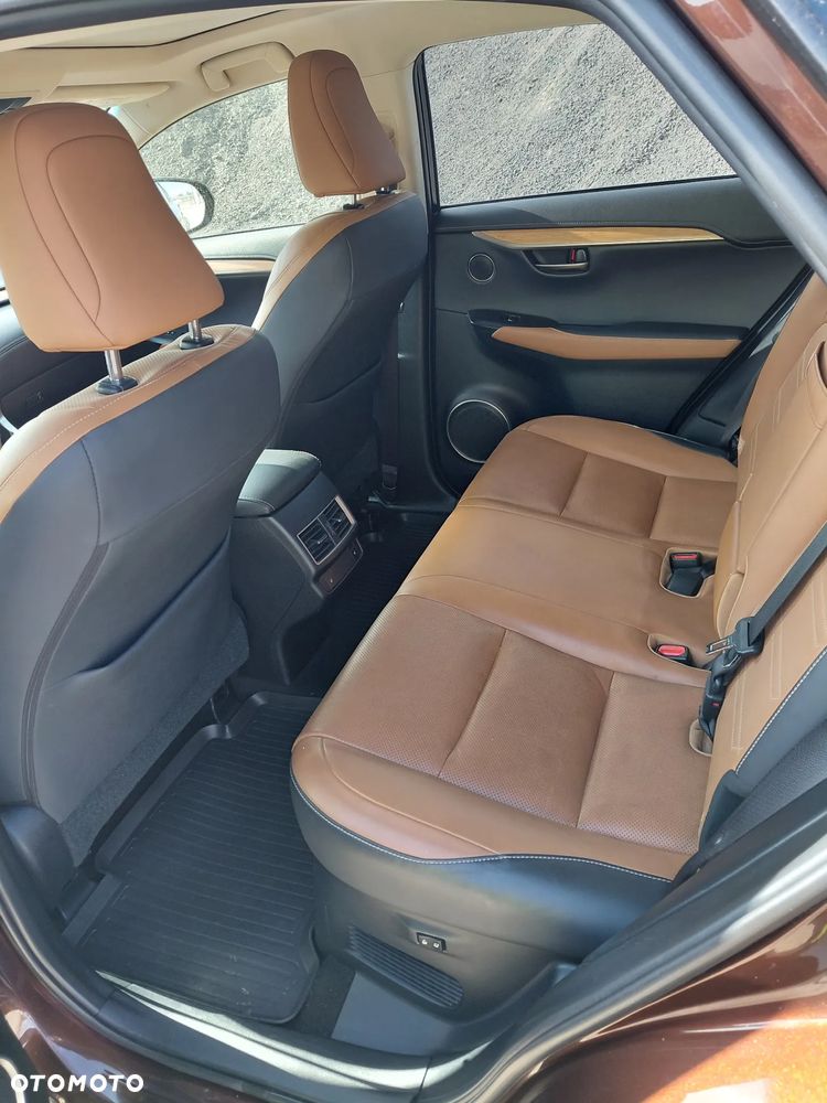 Lexus NX 300 Business Edition AWD - 11