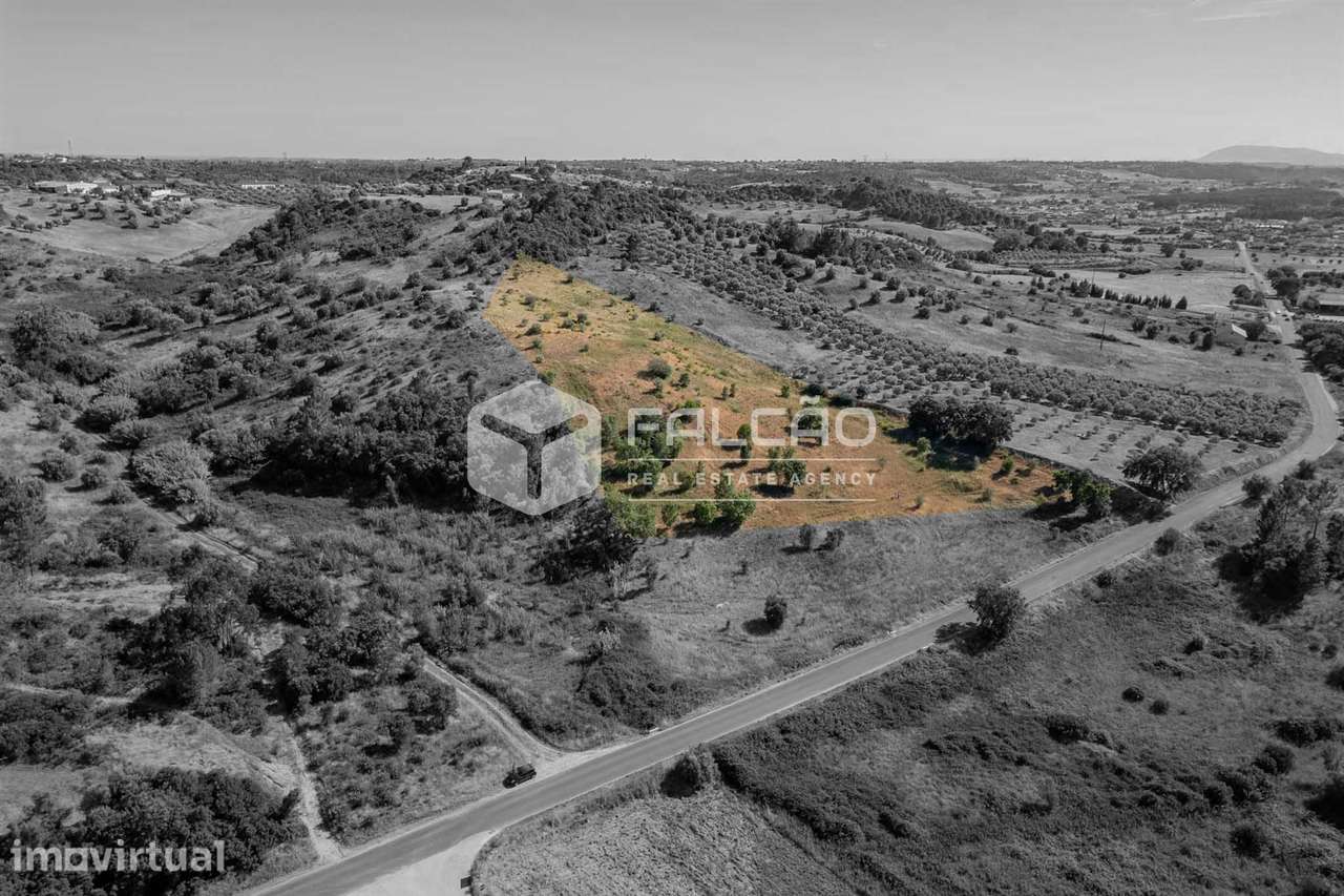 Terreno Rústico  Venda em Azoia de Cima e Tremês,Santarém - Grande imagem: 3/39