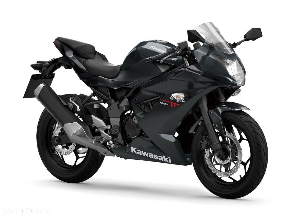 Kawasaki Ninja - 1