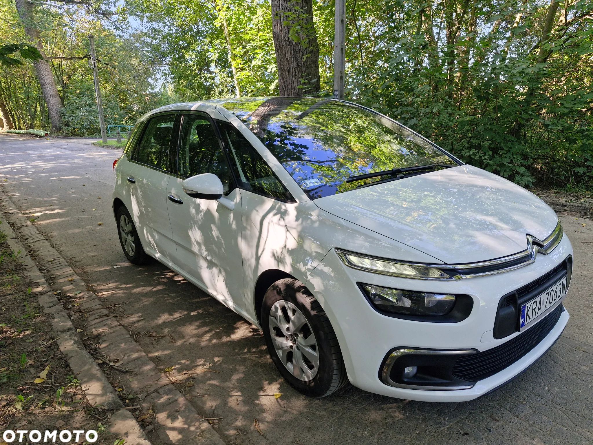 Citroën C4 Picasso - 1