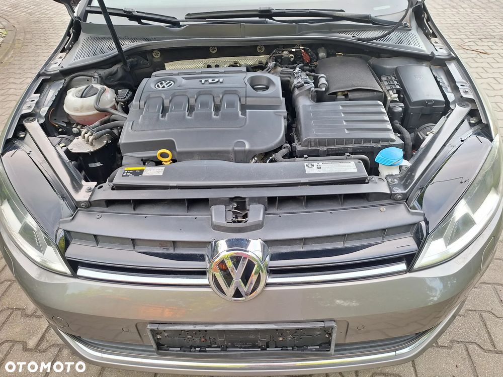 Volkswagen Golf - 14