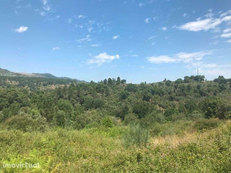 Conjunto de Terrenos Rústicos e Urbanos para Venda - Grande imagem: 2/12