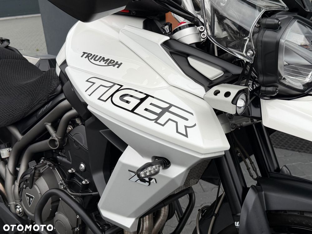 Triumph Tiger - 17