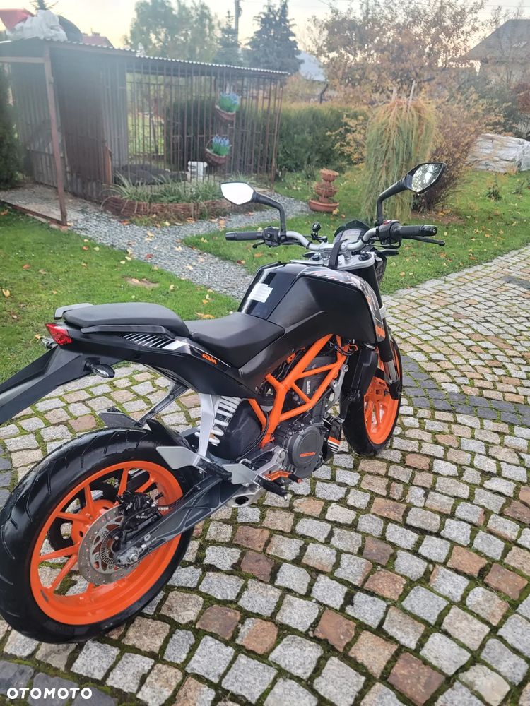 KTM Duke - 11