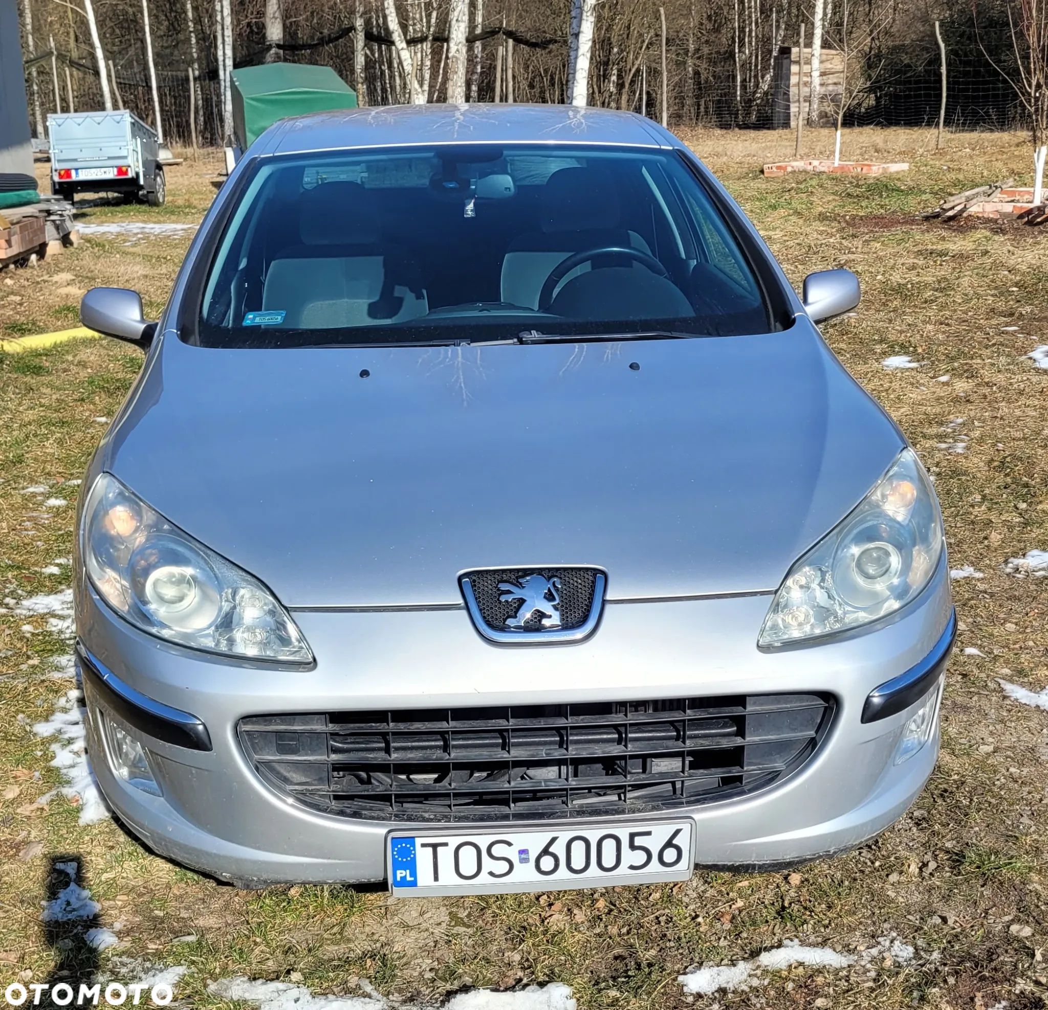 Peugeot 407 - 1