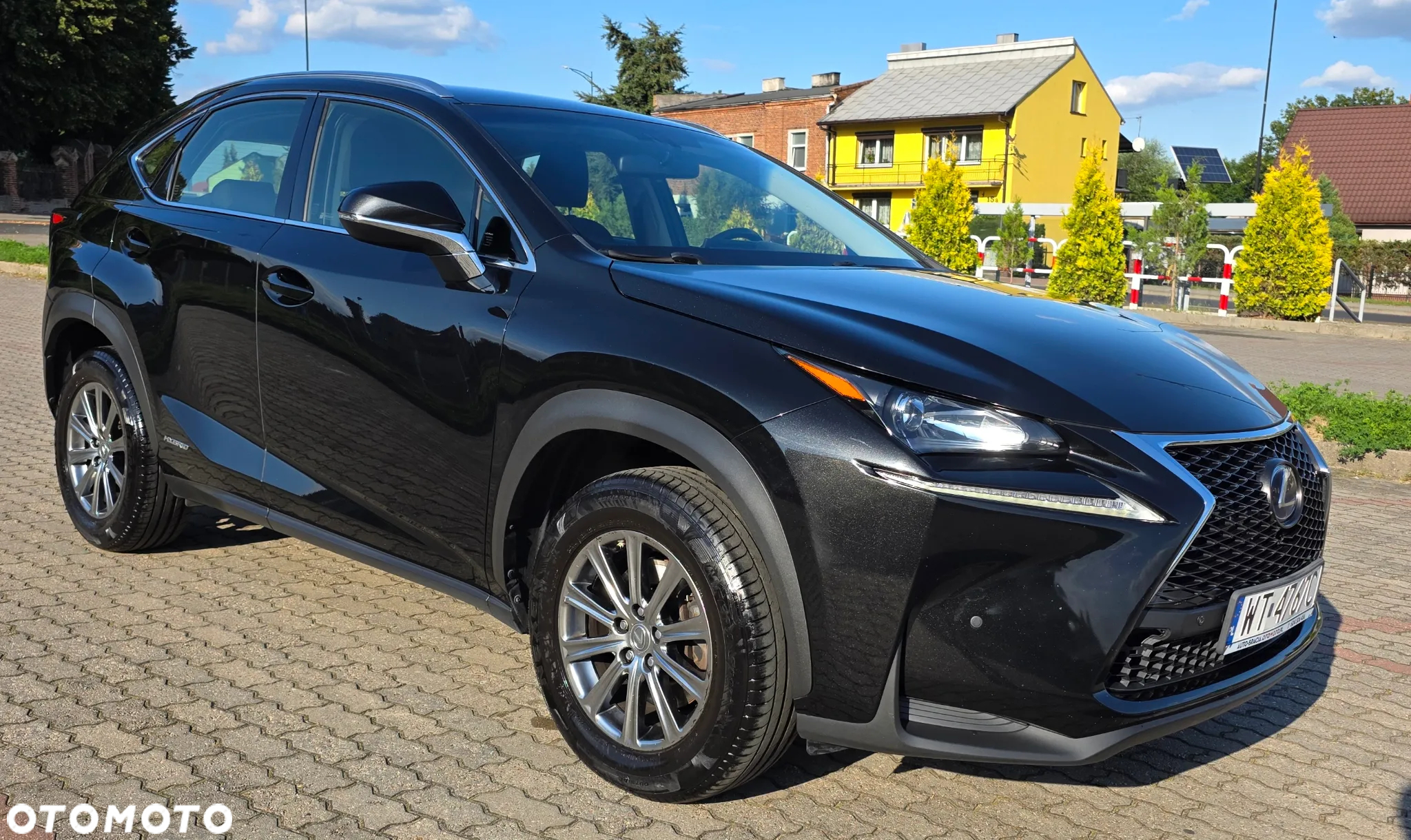 Lexus NX 300h Elite 2WD - 4
