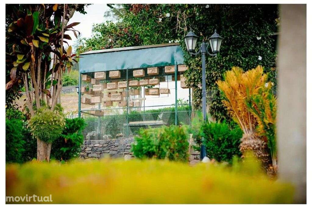 QUINTA T5 NO CAMINHO DO MONTE + ANEXO T2 - Grande imagem: 3/29