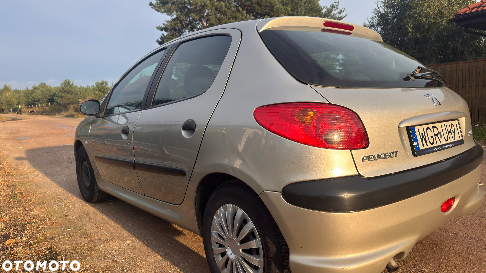 Peugeot 206 - 4