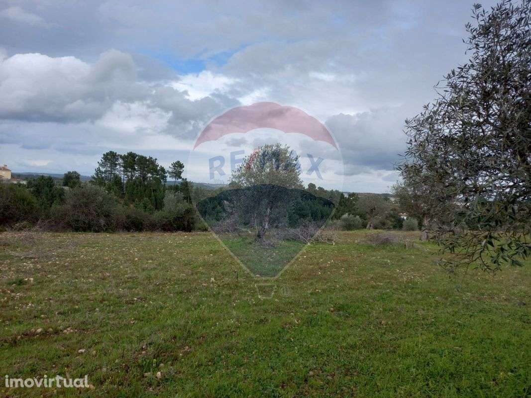 Terreno  para venda - Grande imagem: 4/5