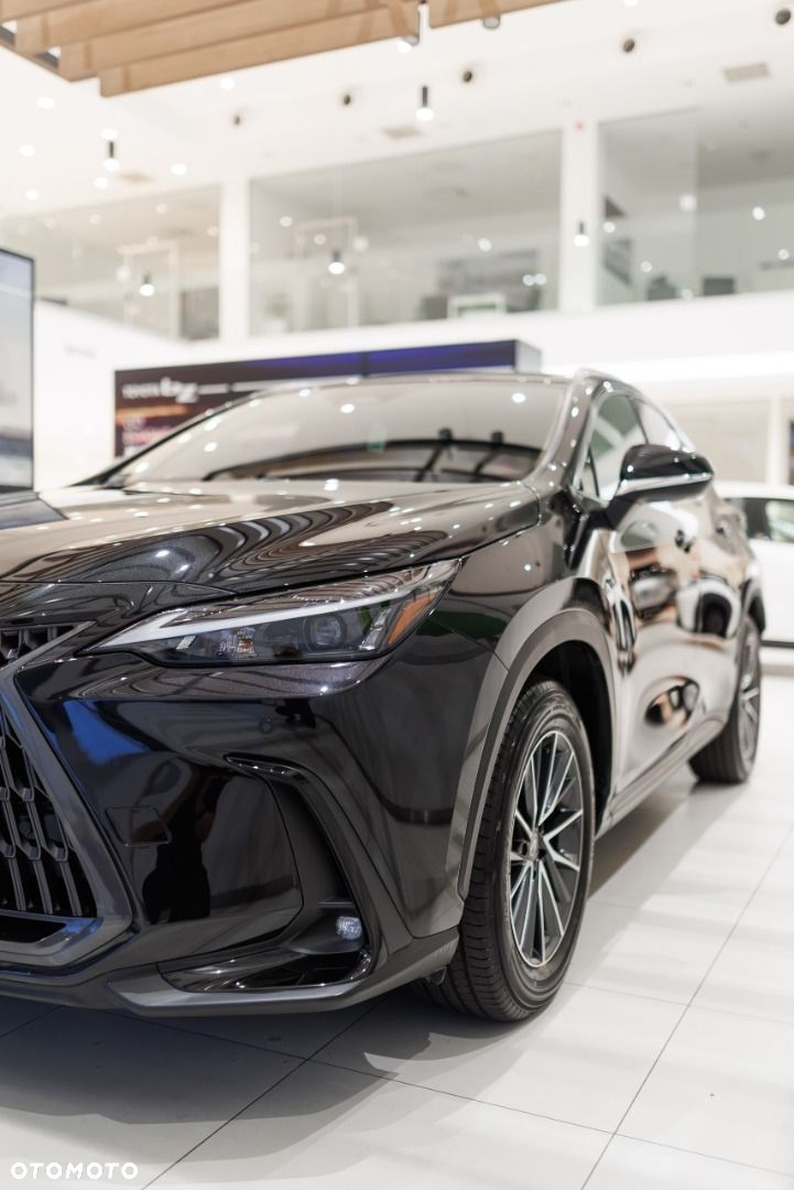 Lexus NX - 19