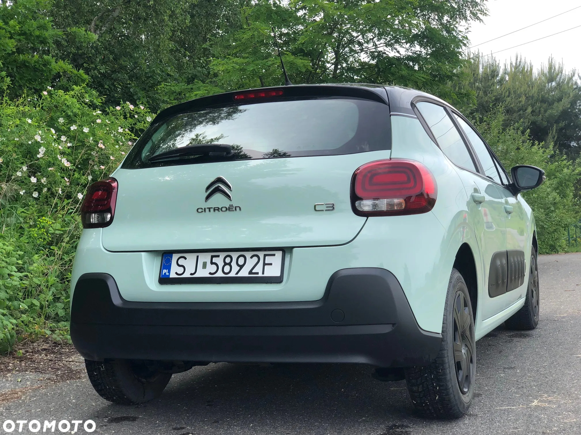 Citroën C3 BlueHDi 75 S&S 83g FEEL - 3