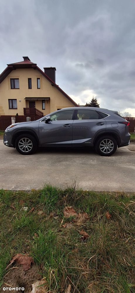 Lexus NX - 19