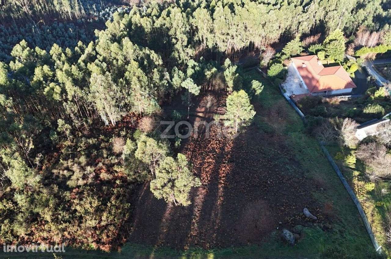 Terreno rústico localizado na Póvoa de Lanhoso - Grande imagem: 3/13