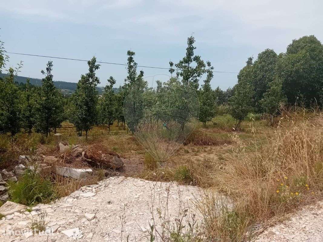 Terreno  para venda - Grande imagem: 5/10