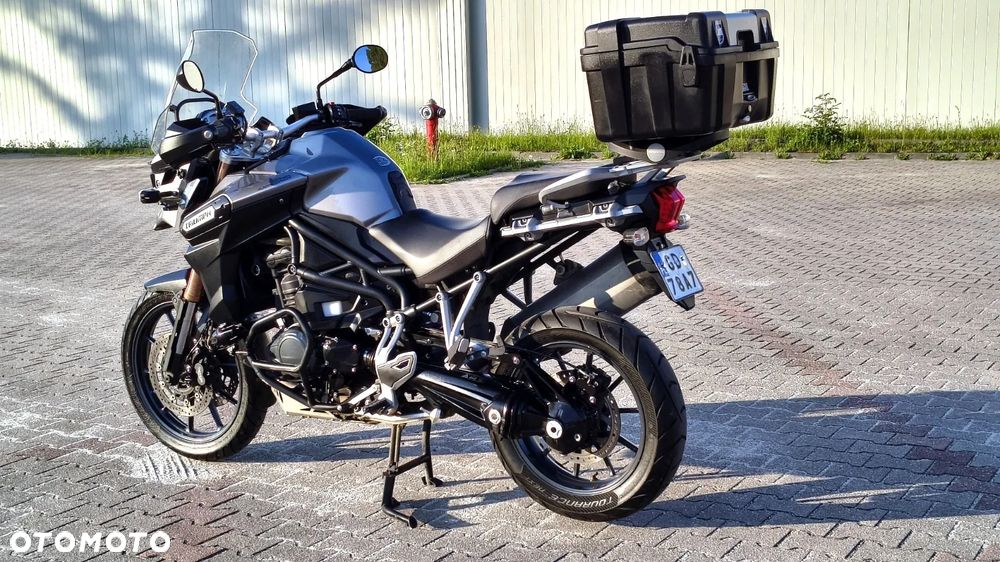 Triumph Tiger - 15