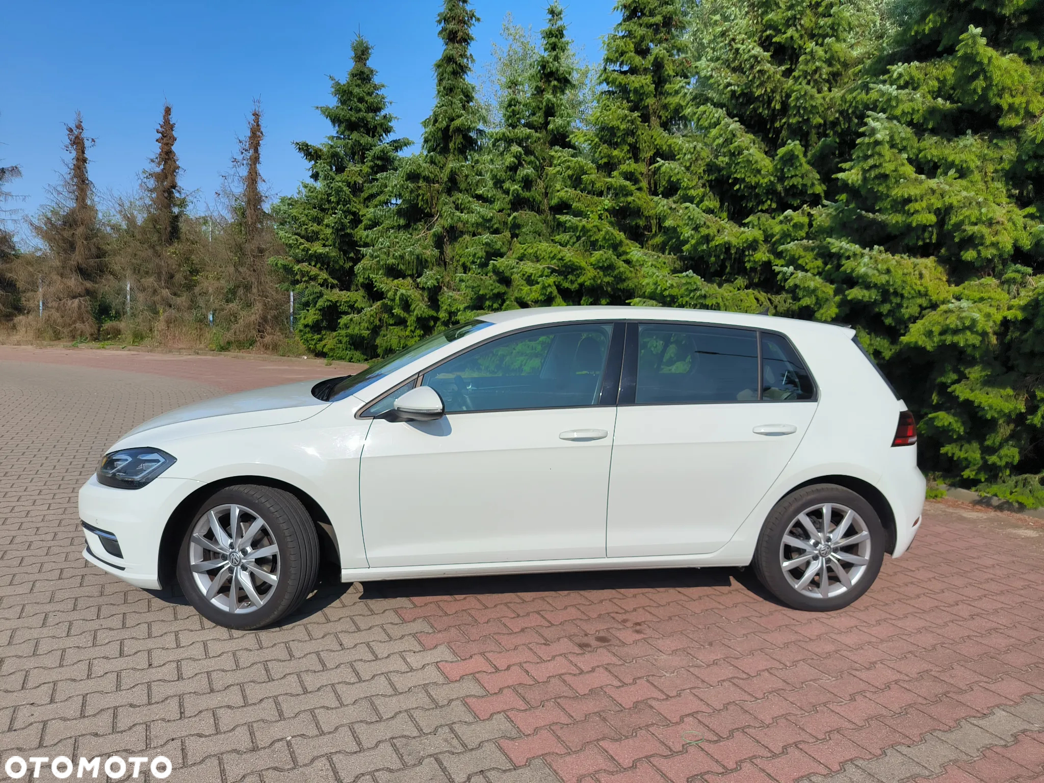 Volkswagen Golf VII 1.6 TDI BMT Highline - 2