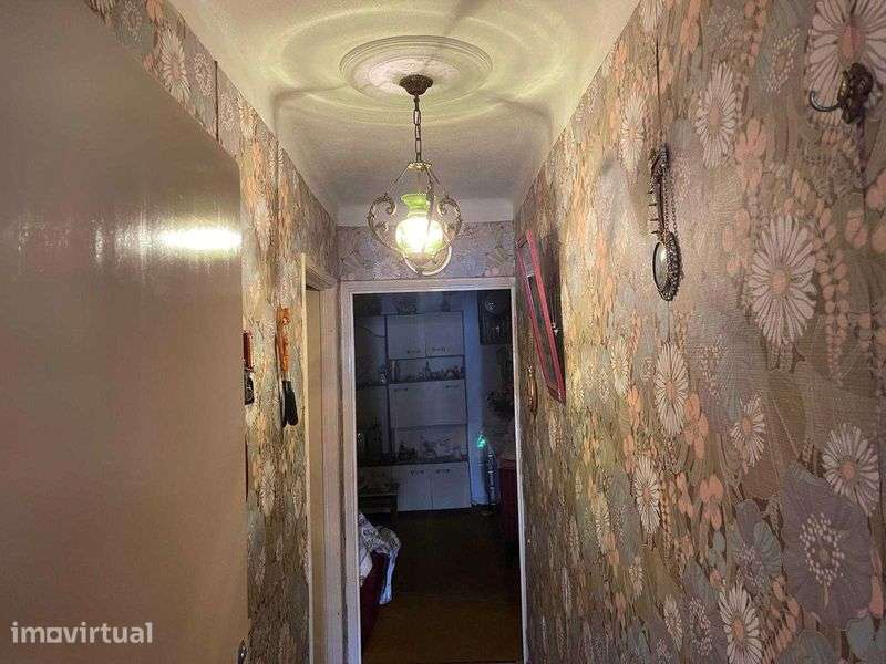 Vendo quintinha 1.300m2 - Grande imagem: 4/12
