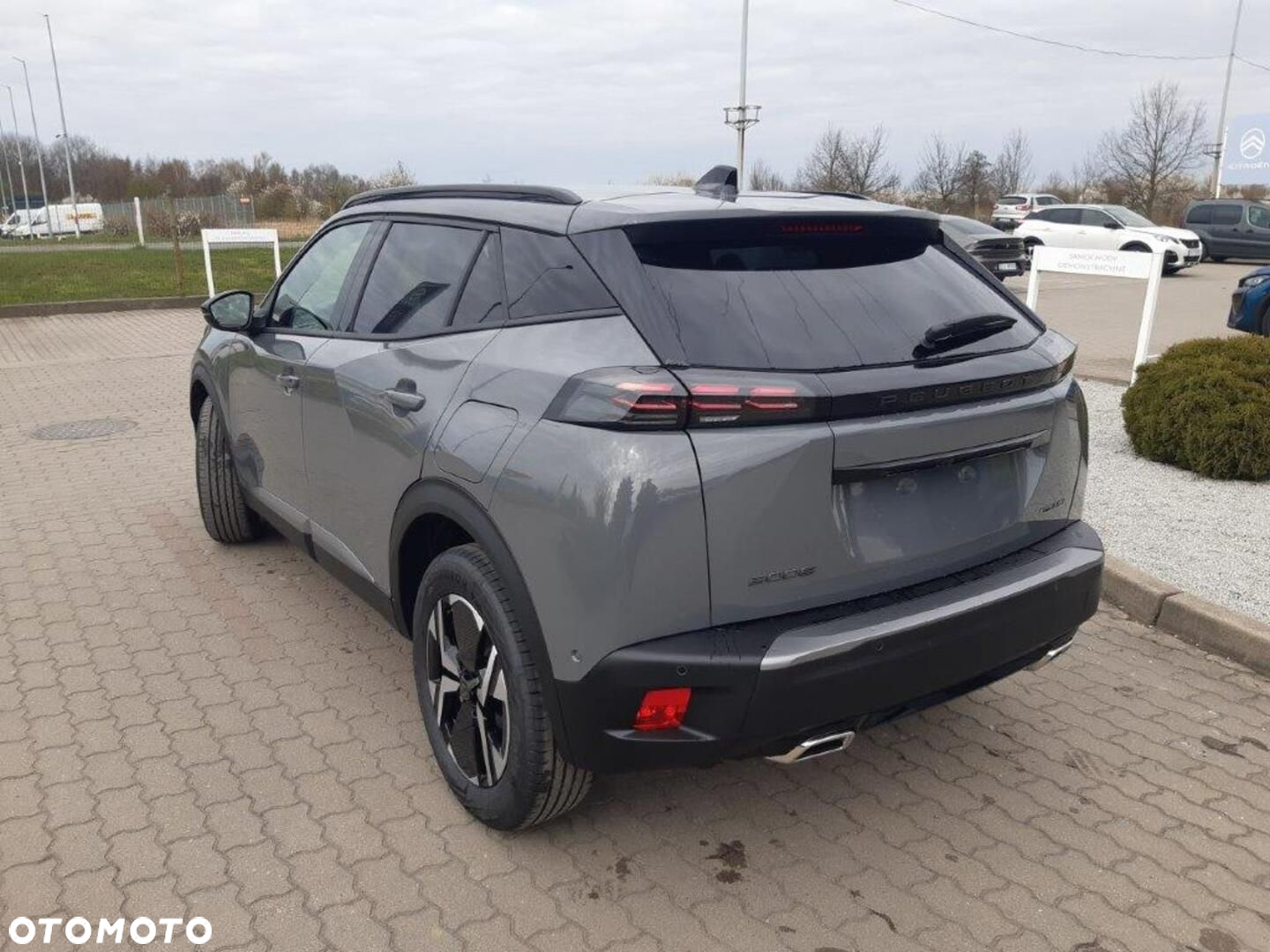 Peugeot 2008 - 5