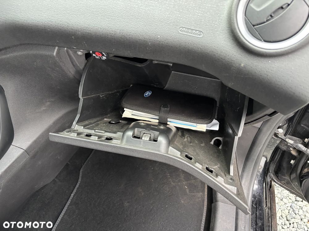 Ford Fiesta 1.6 EcoBoost ST - 20