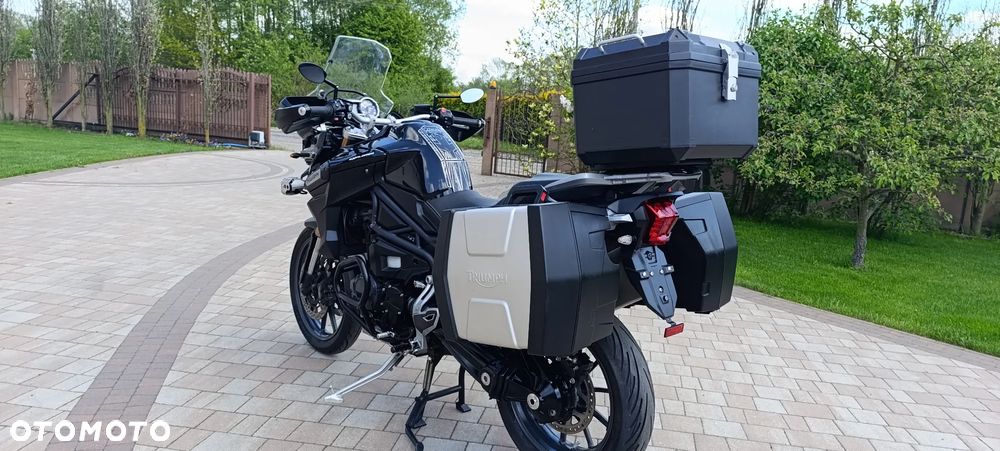 Triumph Tiger - 6