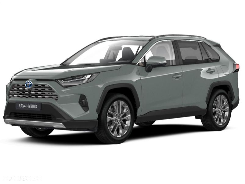 Toyota RAV4 2.5 Hybrid Executive 4x4 - 2