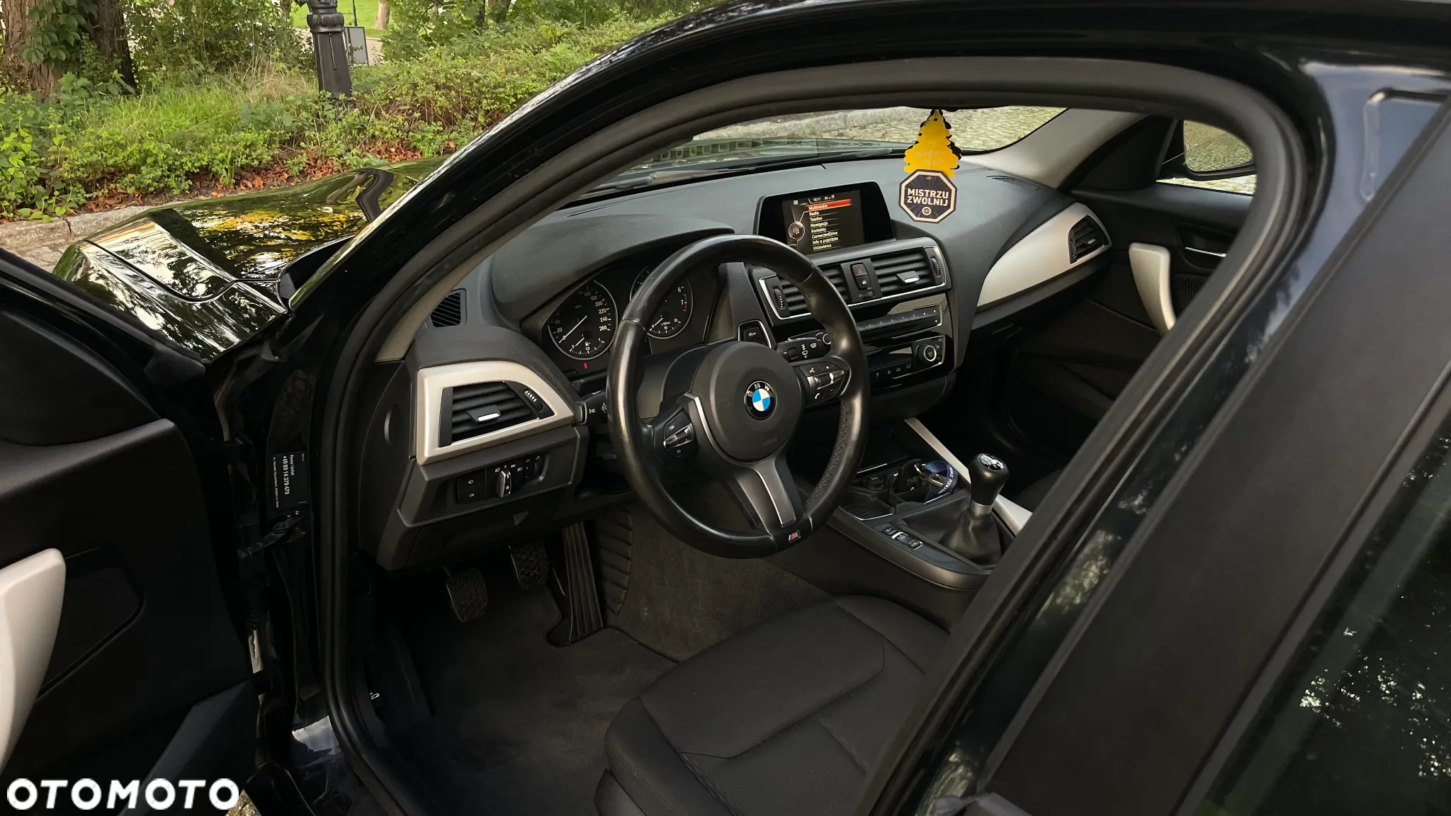BMW Seria 1 116i - 18