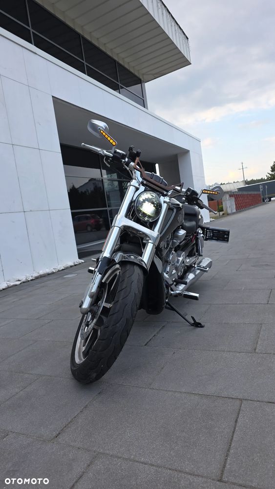 Harley-Davidson V-Rod Muscle - 2