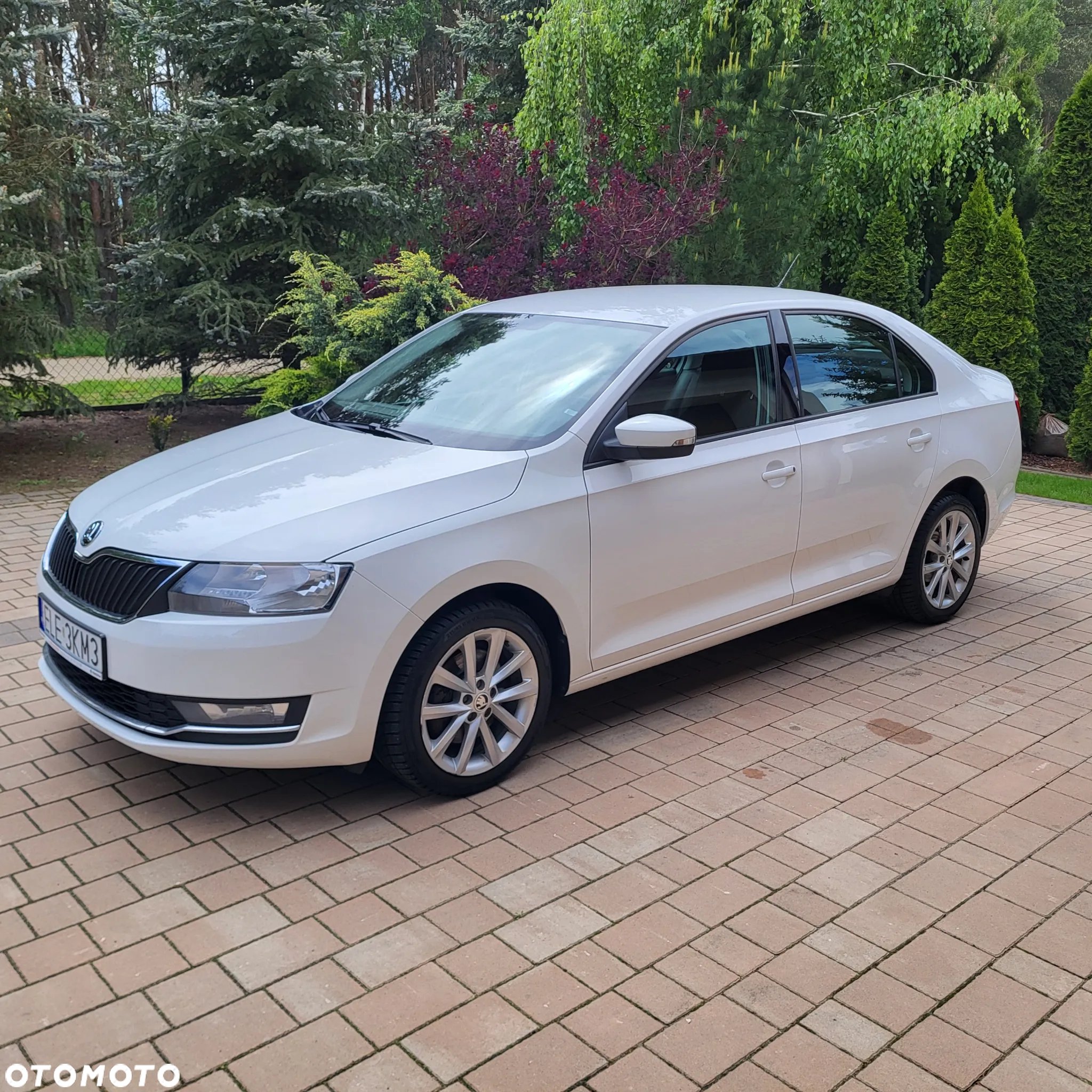 Skoda RAPID - 7