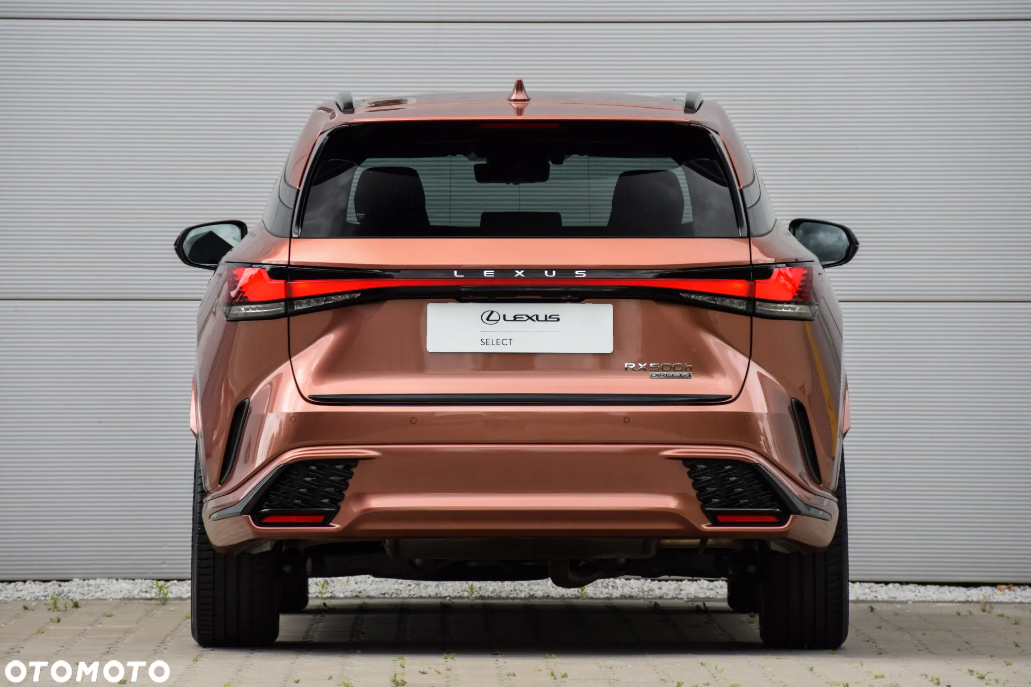 Lexus RX 500h F Sport - 18