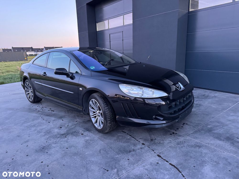Peugeot 407 165 Sport - 13