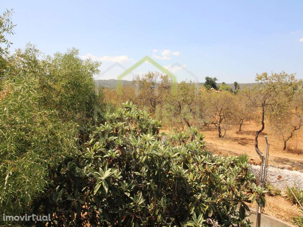 Moradia T2 Tradicional com Terraço, Estoi - Grande imagem: 4/8