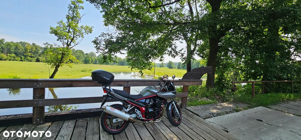 Suzuki Bandit - 17