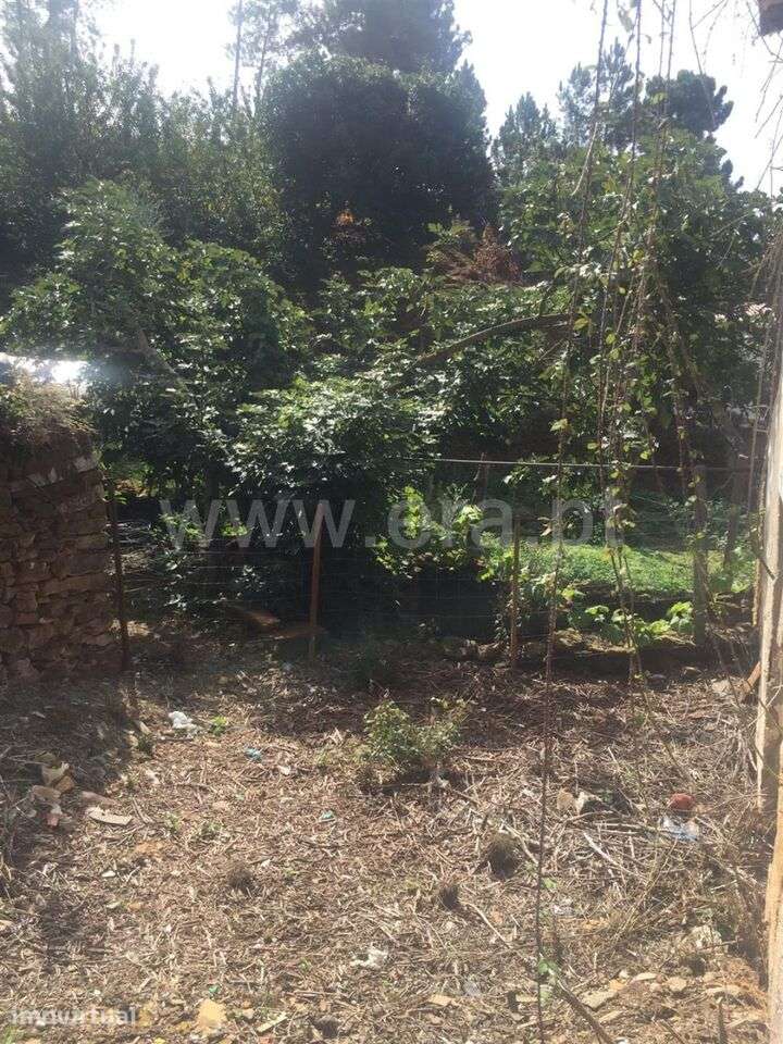 Terreno com ruina / Fundão, Souto da Casa - Grande imagem: 3/3
