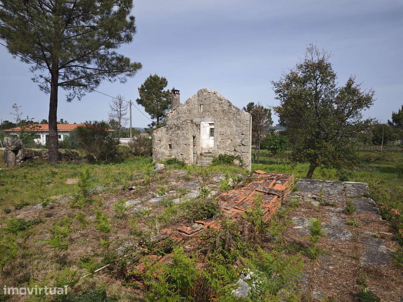 Terreno urbano em Mangualde - Grande imagem: 5/9