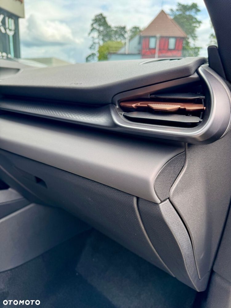 Cupra Terramar 1.5 eTSI mHEV DSG - 38