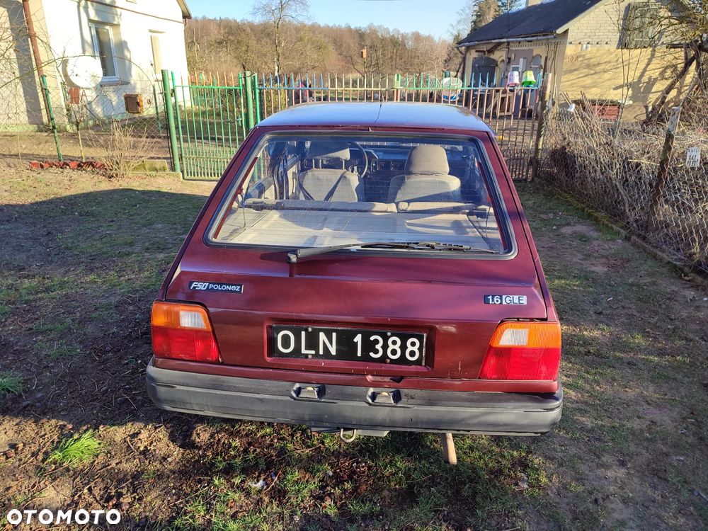 Polonez Caro - 12