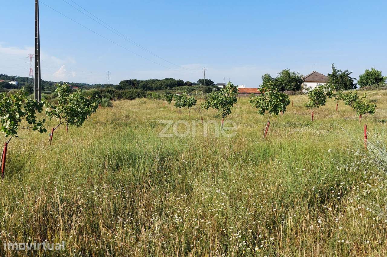 Quinta Agro-Biológica e Projeto de Agroturismo | Belmonte - Grande imagem: 3/26
