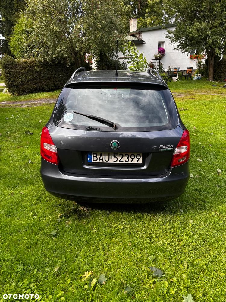 Skoda Fabia 1.4 TDI Greenline - 4