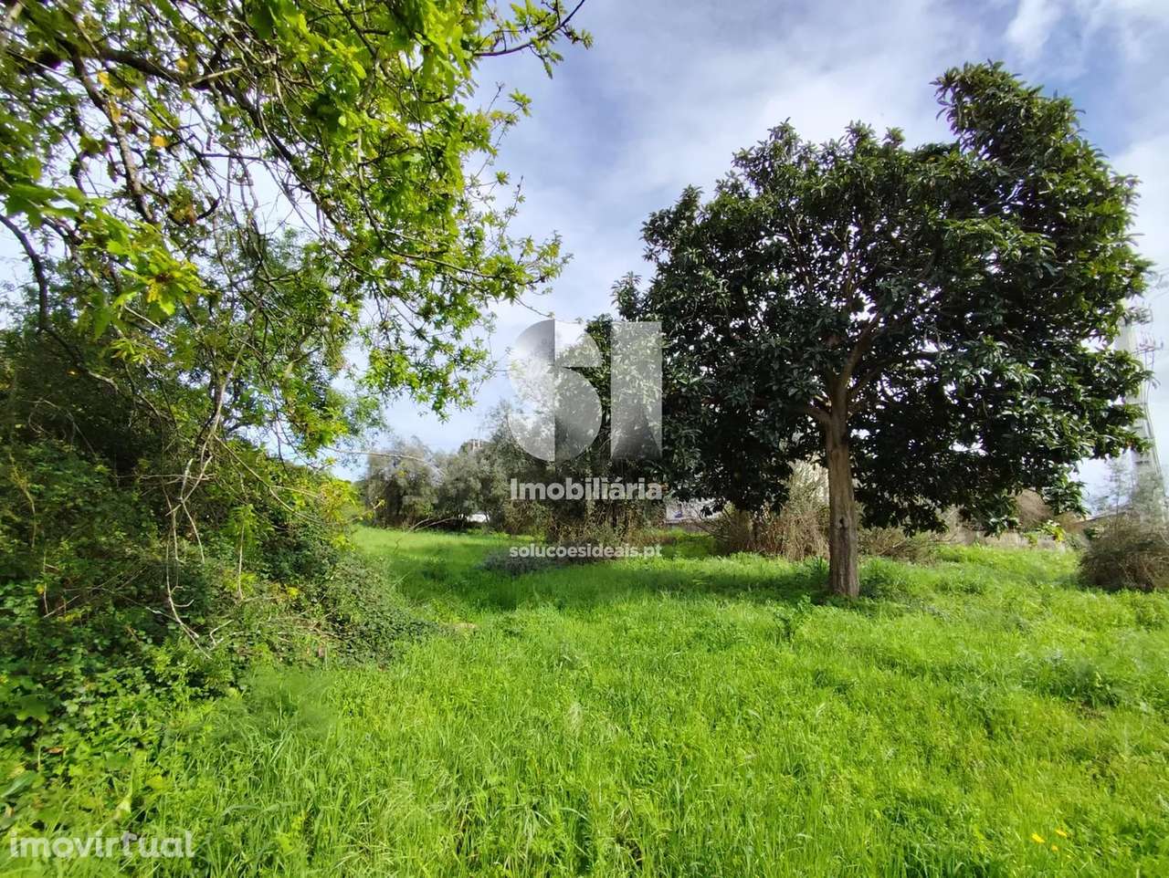 Terreno em Mealhada - Grande imagem: 3/11