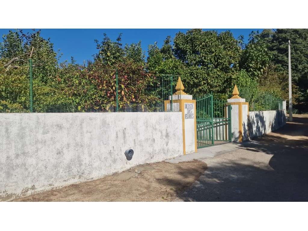 Quinta - Reguengo e São Julião - Um refúgio entre o campo e a serra! - Grande imagem: 4/30