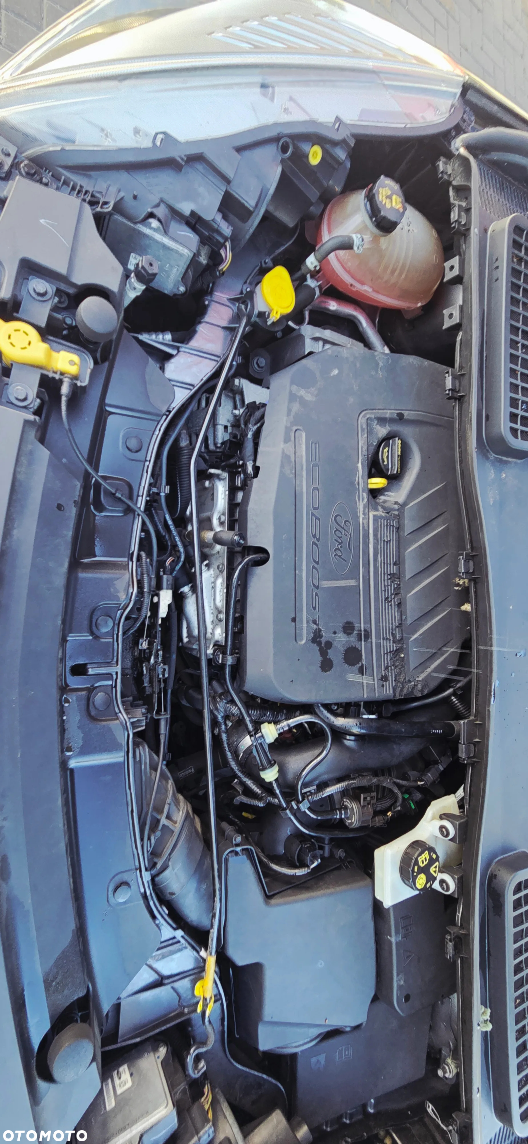 Ford Kuga 1.5 EcoBoost FWD Edition ASS MMT6 - 38