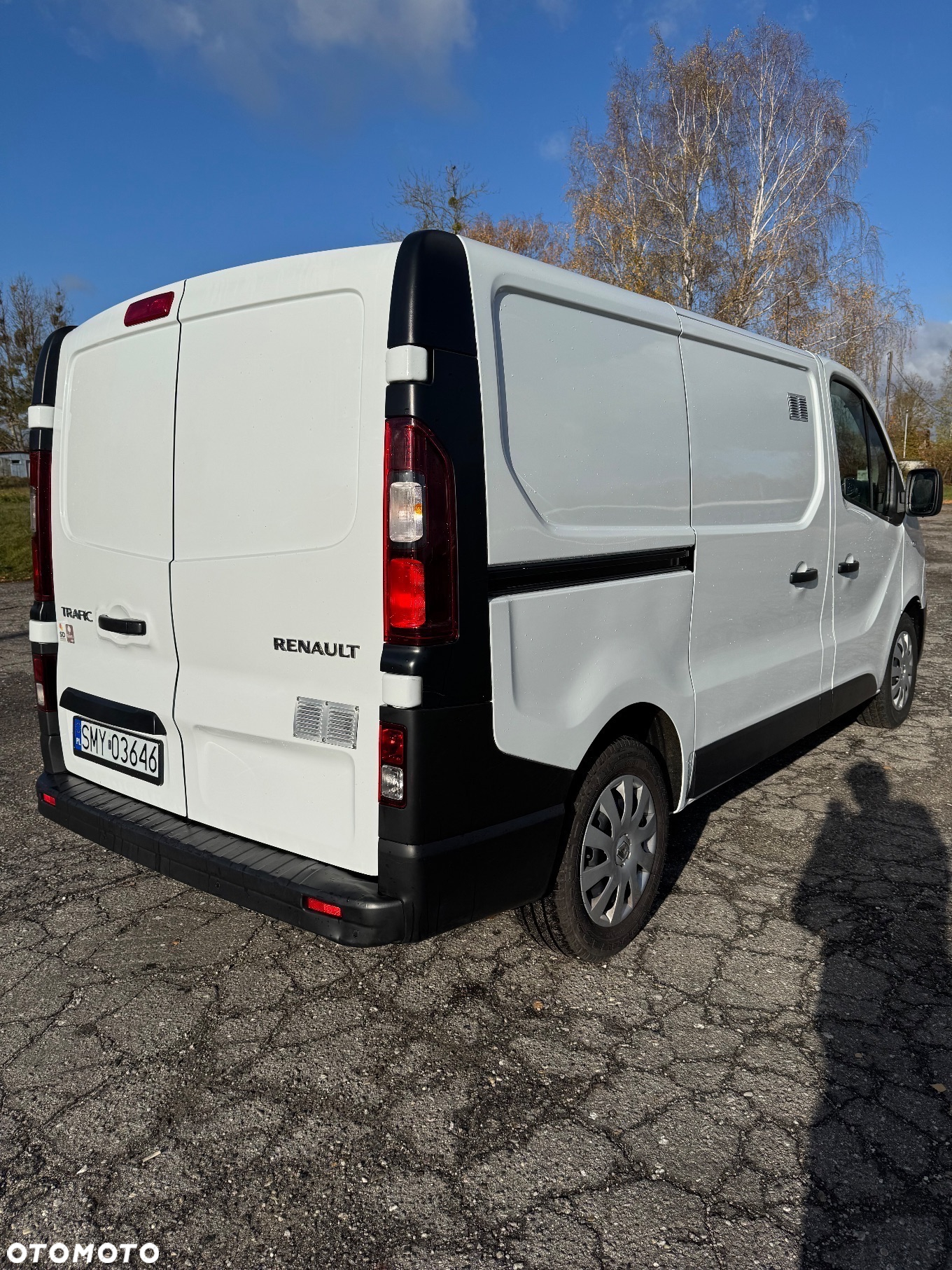 Renault Renault Trafic - 8