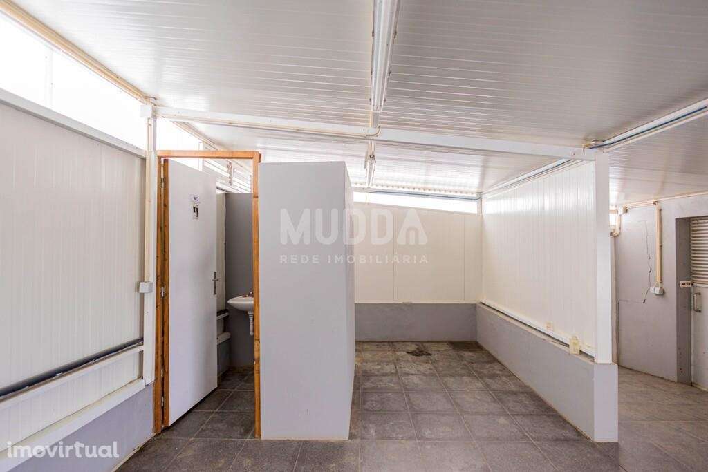 Terreno com Benfeitorias - Grande imagem: 4/38