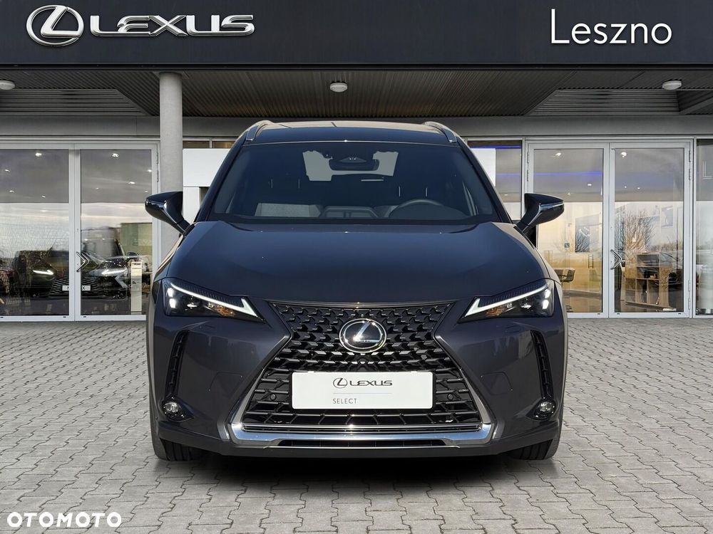 Lexus UX 300h Business - 7