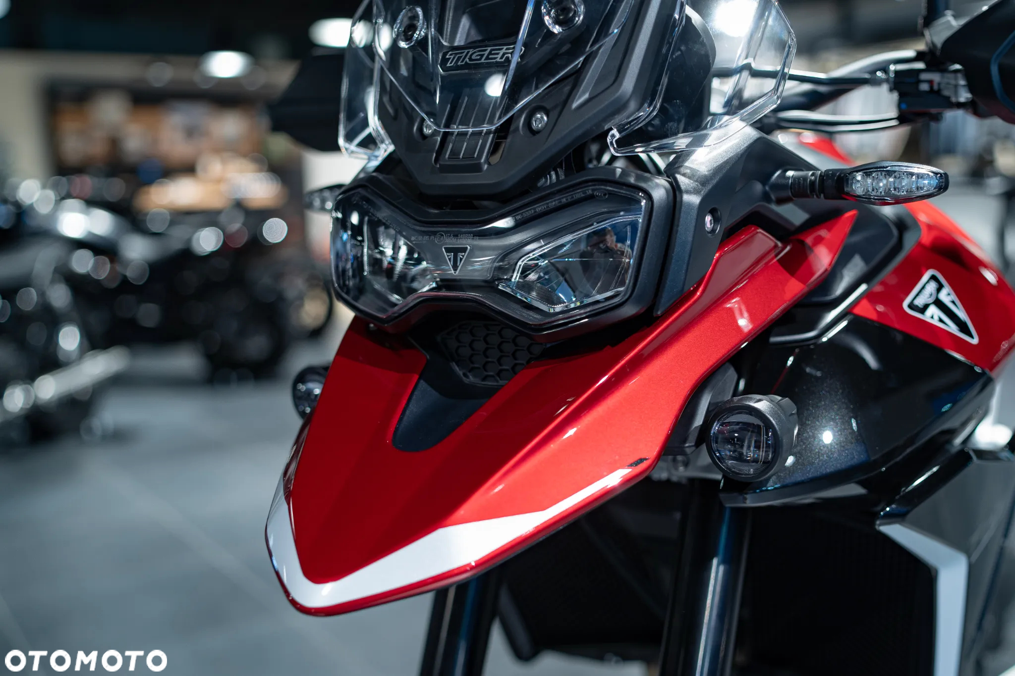 Triumph Tiger - 29