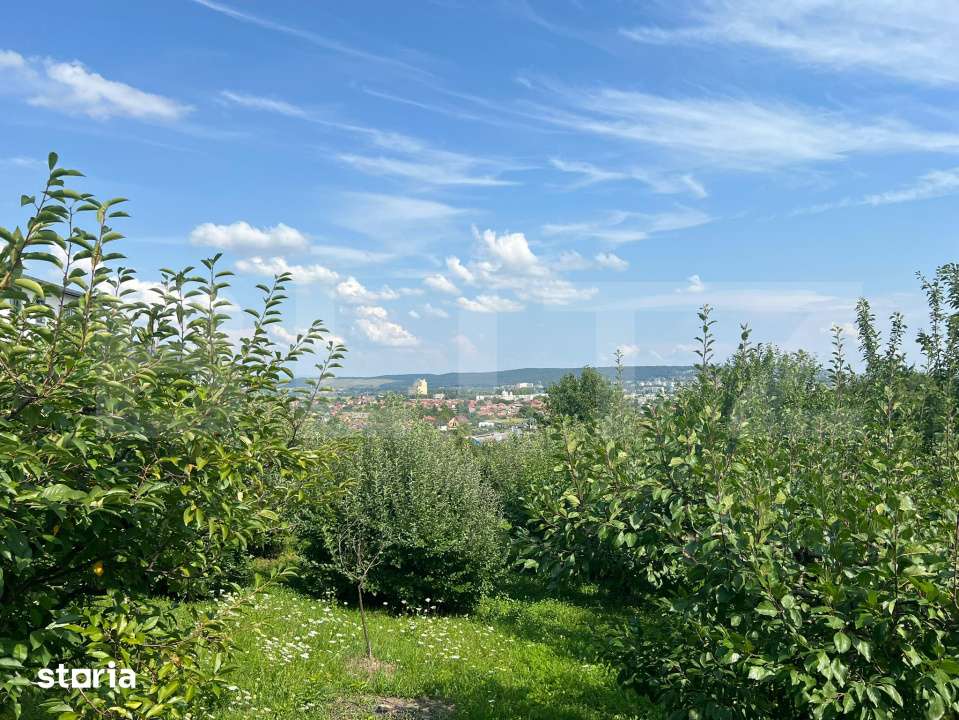 Teren intravilan 1418 mp Sancraiu de Mures – panorama oras, utilitat - Imagine principală: 2/2