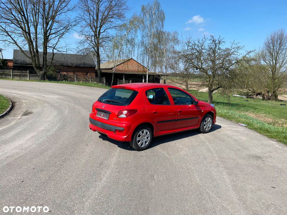 Peugeot 206 plus 60 - 14