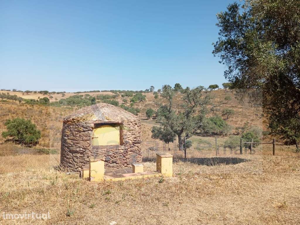 Propriedade Rural com Casa de Campo e Piscina - Concelho de Serpa - Grande imagem: 3/12