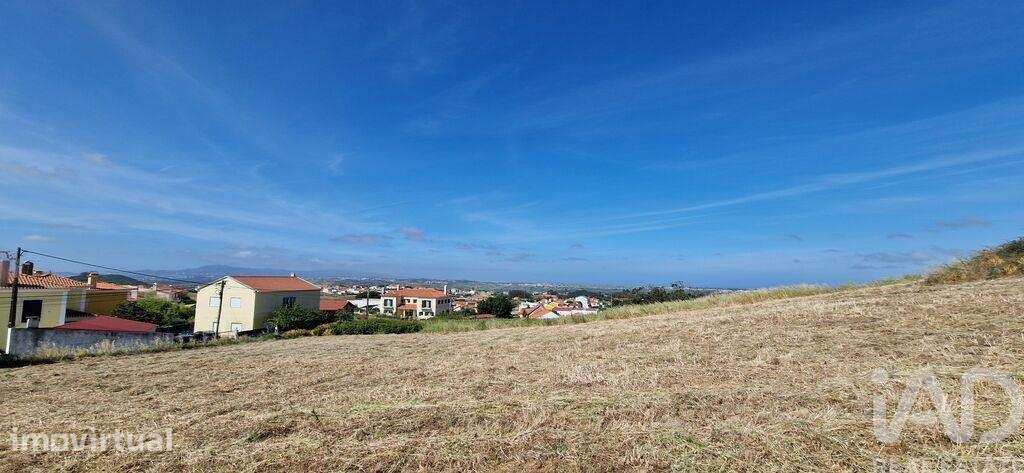 Terreno em Igreja Nova e Cheleiros de 10000,00 m2 - Grande imagem: 5/18