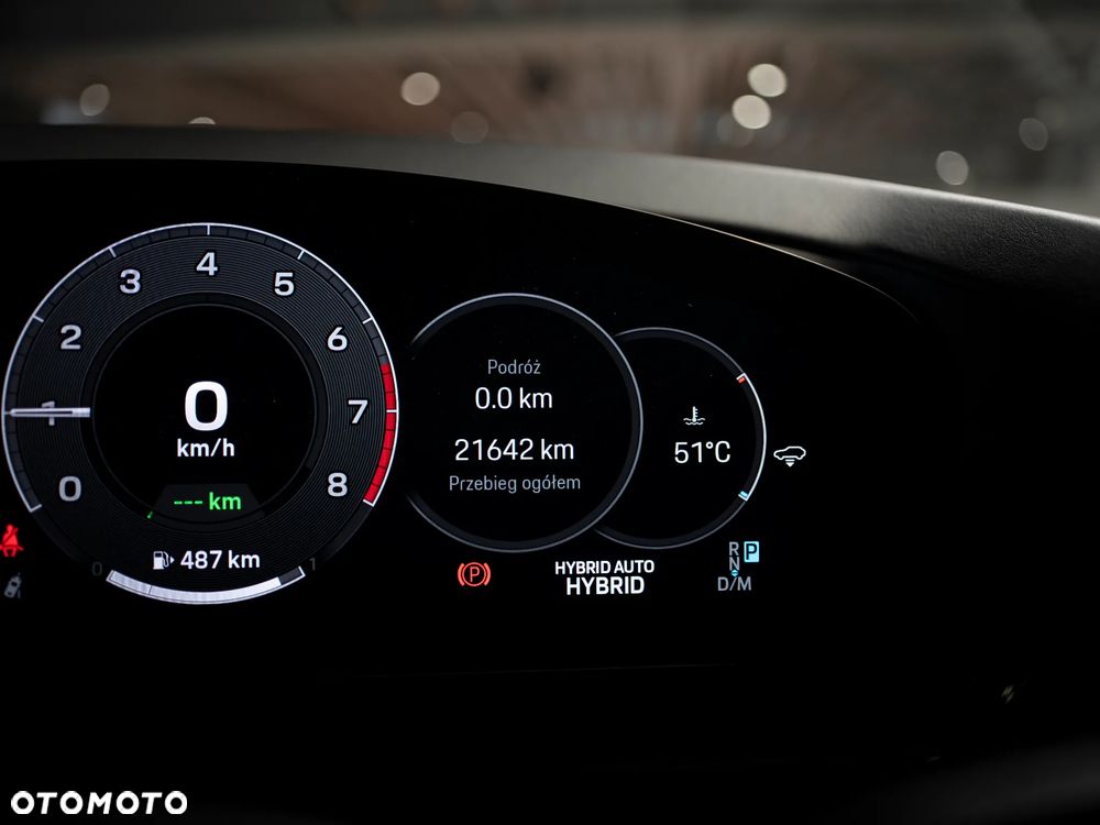 Porsche Cayenne E-Hybrid PHEV - 21